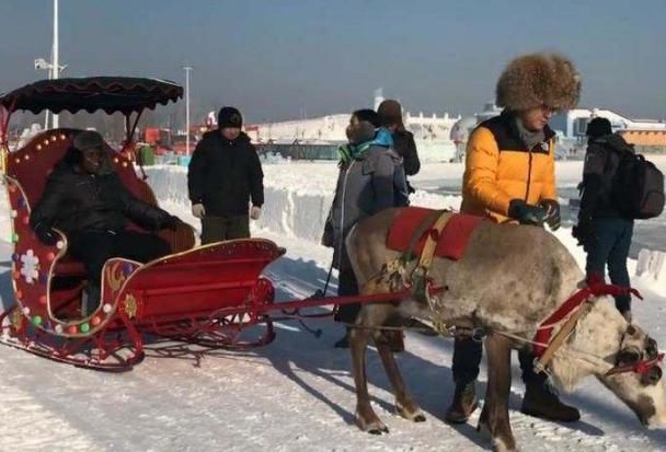  埃及|非洲人来中国旅游，一下飞机就大叫，最后还住进了医院