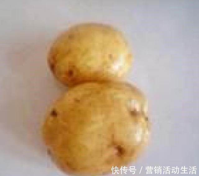 土豆丝|土豆丝卷饼，柔软劲道，凉了也不硬，早餐别出去买了