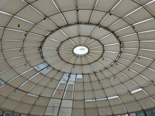 敲门砖|最便宜的 Google Pixel「敲门砖」:Pixel 4a 上手体验