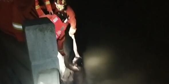  合力|永嘉：夫妻酒后吵架跳河 多方合力成功救援