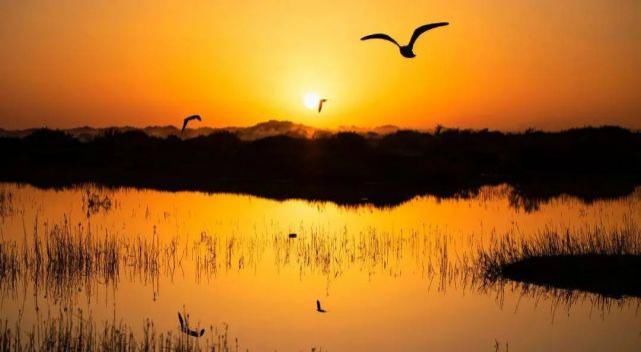 额济纳旗|【阅读】有一种心动,叫额济纳的秋天