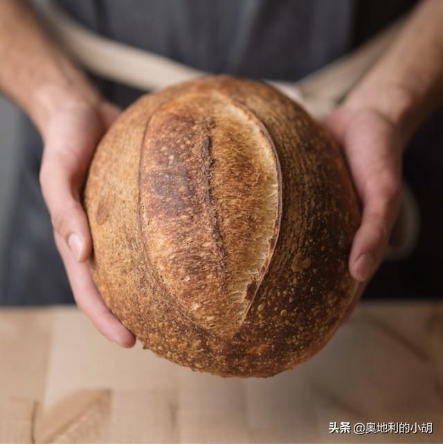  外国人|老面面包为什么更健康？外国人这么喜欢老面酸面包，原因很简单