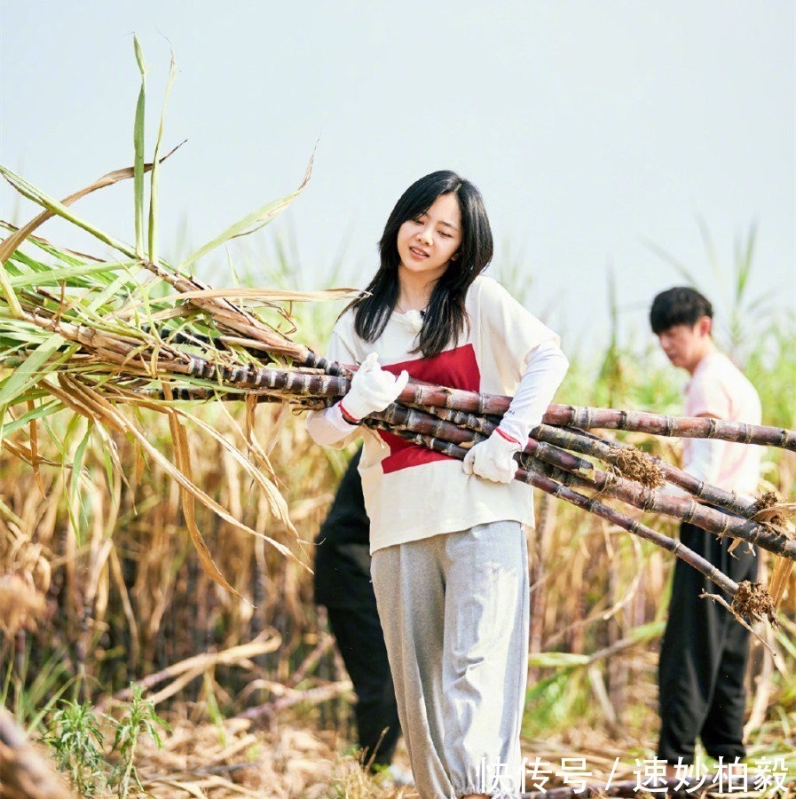  套近乎|《向往的生活》：黄磊“套近乎”没有底线，这次却没有被吐槽