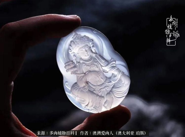 血放|多肉让你把血放，文玩掏空你家当，你要在哪个坑里乘风破浪？