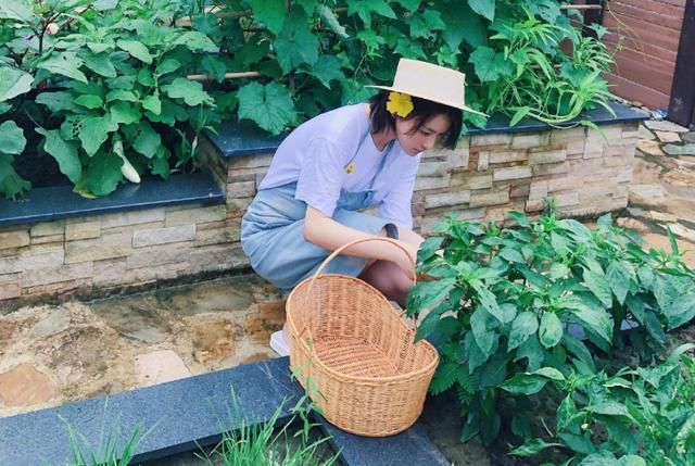  失败|黄圣依录节目胆太大，表情管理失败也就算了，居然敢提＂送石头＂