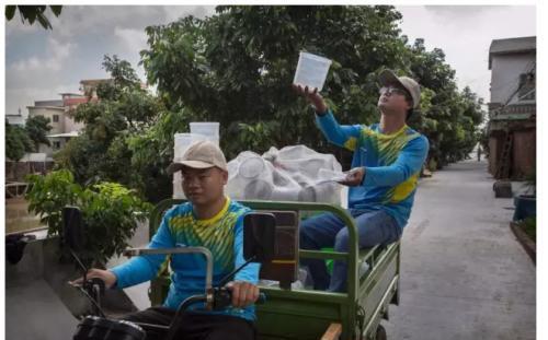 工厂|世界上最大的蚊子工厂，每周培育500万只蚊子并放生，就在广东省