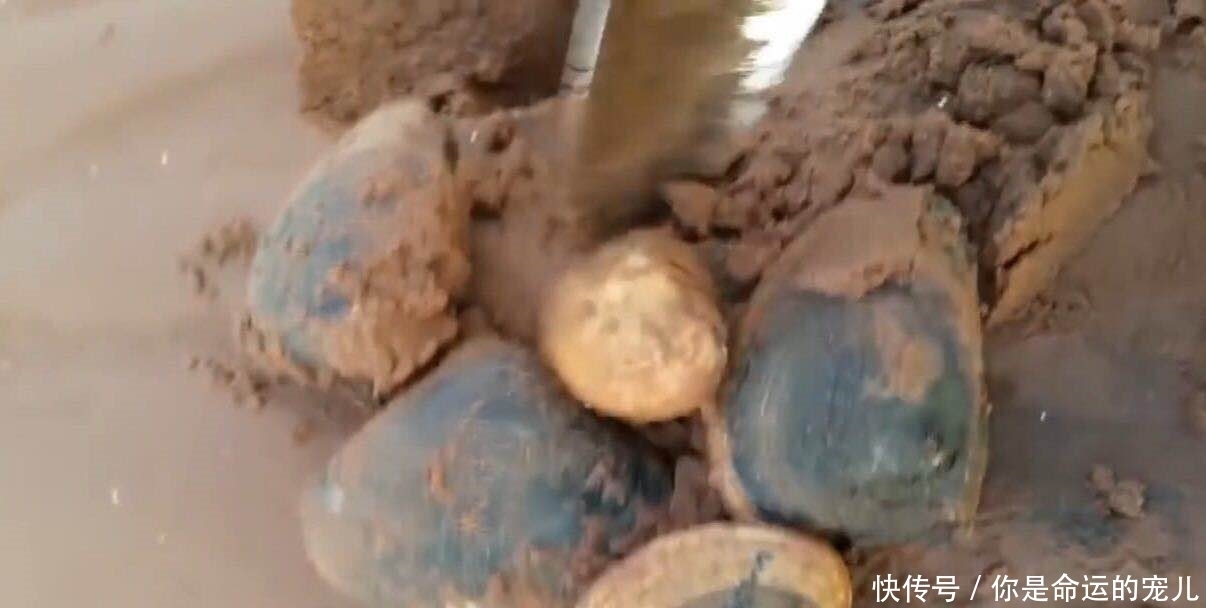 宝贝|男子海边看到洞就挖，顺着挖下去，全是“宝贝”可是赚大了