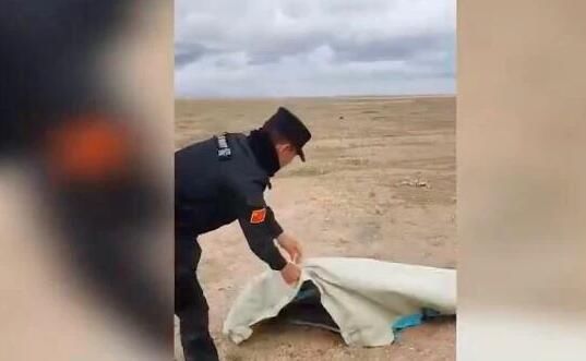  大学生|江苏女大学生生出于什么心理一个人去可可西里无人区？