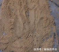 点名|自从知道糯米粉可以这样做,女儿隔三差五点名要吃,上桌就吃完!