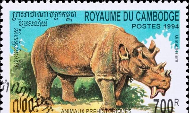  食者|化石研究显示并非所有的剑齿动物都是掠食者 巨大犬齿也具有求偶作用