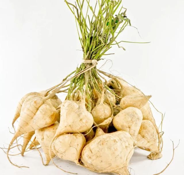 别称|同一物,天南地北的叫法竟差这么多