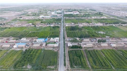  轮台县|新疆轮台县生态搬迁：塔河沿岸绿了，新居村民富了