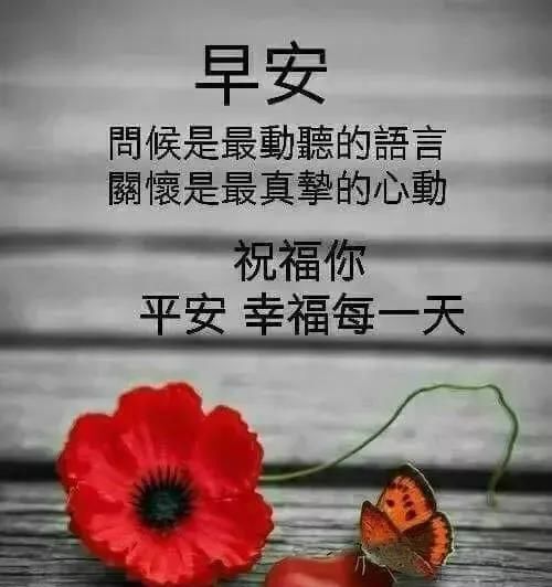 生活|生活，不过就是生下来、活下去，早安