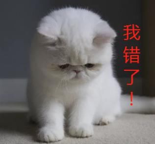  扰民|非法改装车深夜“炸街”扰民！民警：抓得就是你！