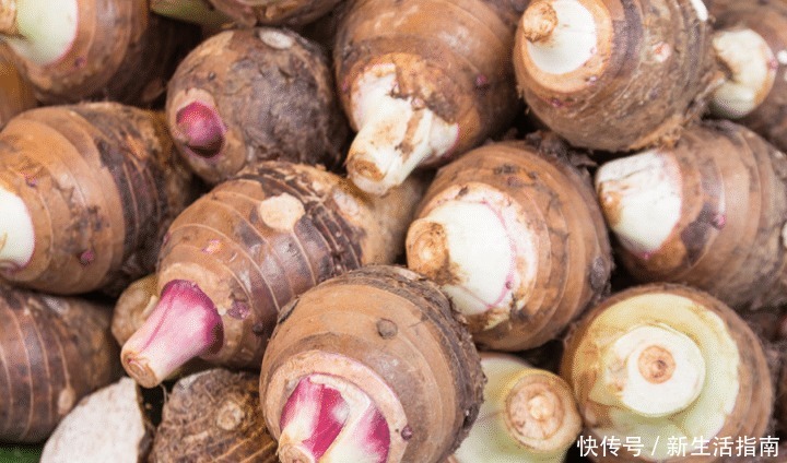 做成|秋天吃冬瓜南瓜不如吃它,5块钱一斤,做成小饼,外酥里糯特好吃