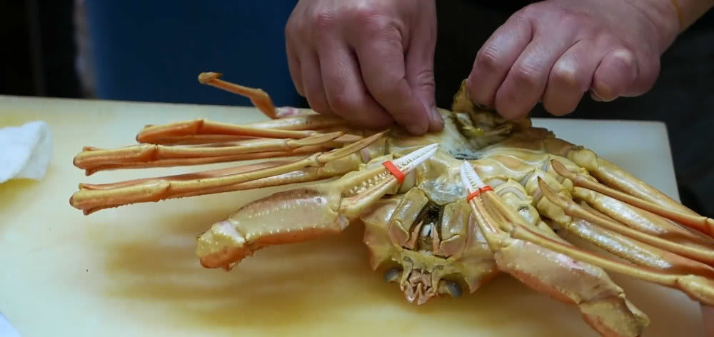 真肥|花150元买的一只螃蟹,真肥,还以为赚到,煮后掰开没勇气下嘴