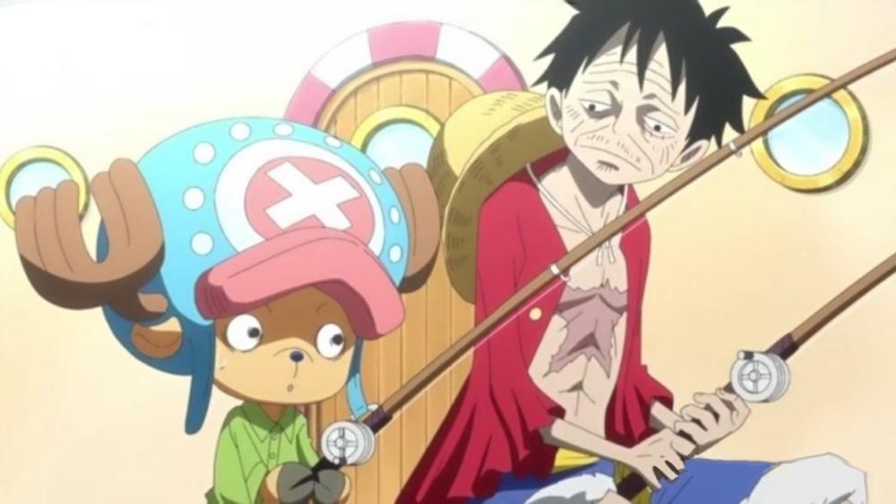  海贼王|海贼王：请路飞吃饭要花多少贝利？不多，也就能买几万个乔巴吧