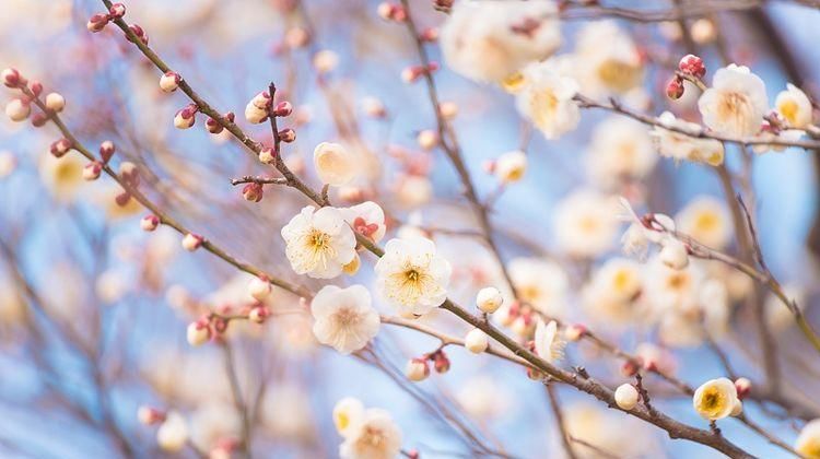 称心如意|8月1号开始运势旺, 财多福气多, 生活称心如意, 3生肖运势会爆发