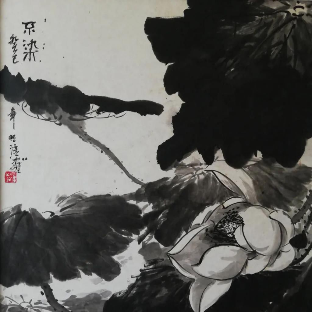  湛江市坡头区摄影协|映日荷花醉「乾塘」