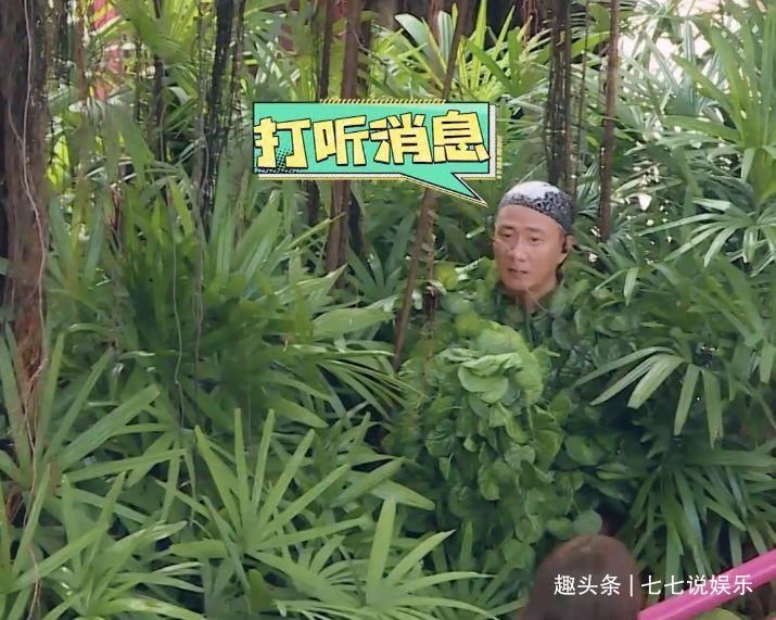 唯一|《元气满满的哥哥》杨洋带队战术成功，唯一bug是王耀庆