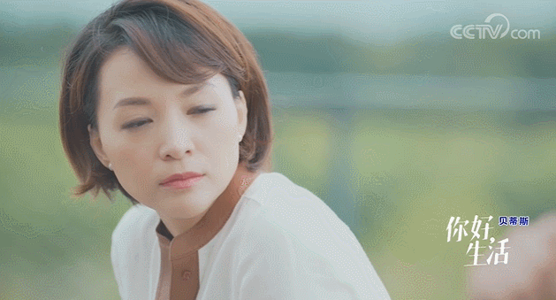  生活|这档被埋没的神仙综艺，值一个热搜！董卿插花比主持更美