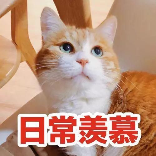 快来|快来领百元奖金啦！优秀网络扶贫案例投票中奖名单出炉，有你吗？
