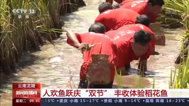  新疆巴楚|水果宴、抓稻花鱼、篝火晚会……各地旅游有“妙招”