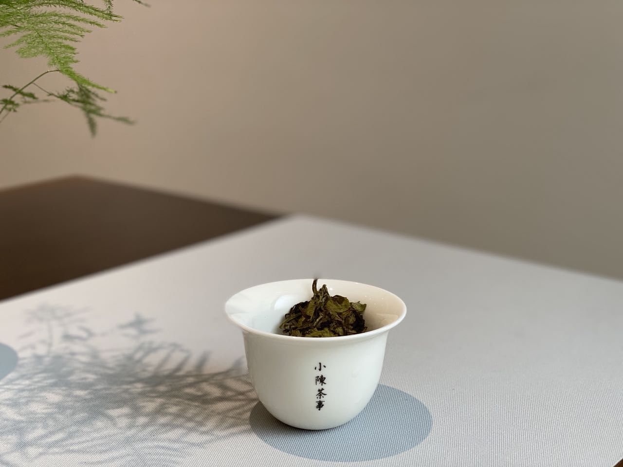 绿茶|绿茶喝新茶？白茶、普洱喝老茶？岩茶、红茶喝隔年茶？误会大了