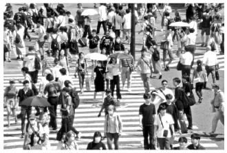65岁以上老年人口占比达29.1% 日本劳动力短缺问题日益严峻