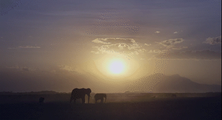  女王|为了躲避猎杀和寻找水源，女王带着族群，开启了逃亡之旅