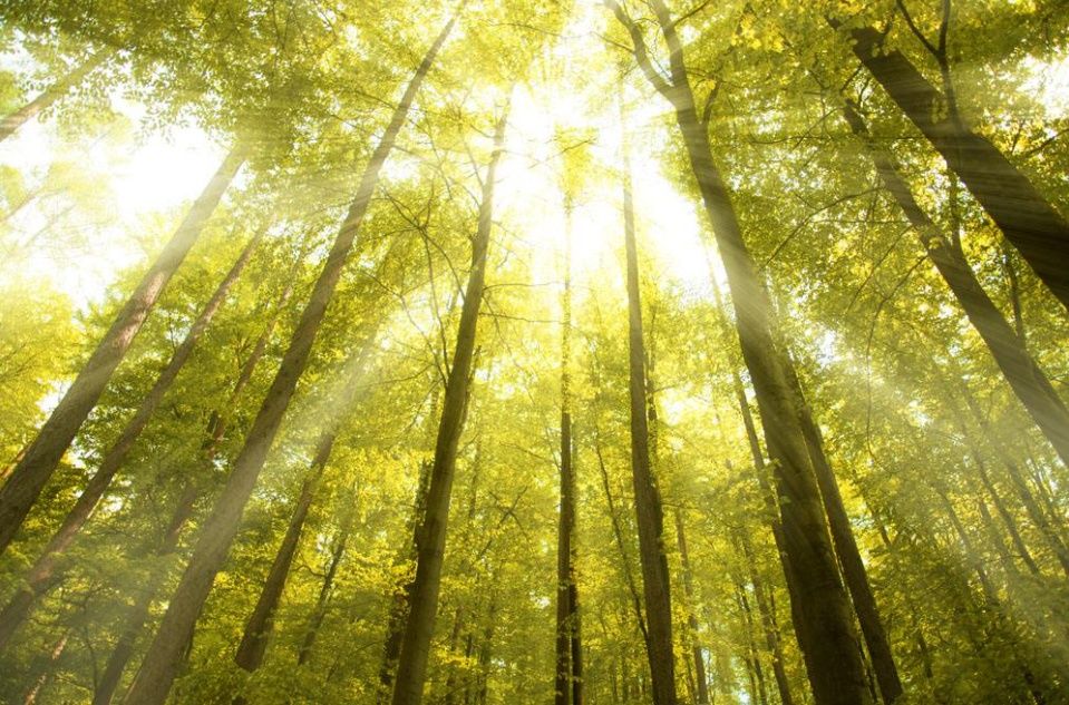 双色球|“玩”出快乐和精彩，从2元一注双色球开始