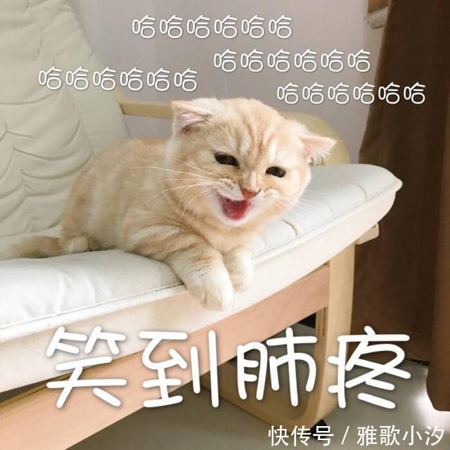 南方人|看南方人买菜的日常,还以为是段子呢,哈哈哈哈……