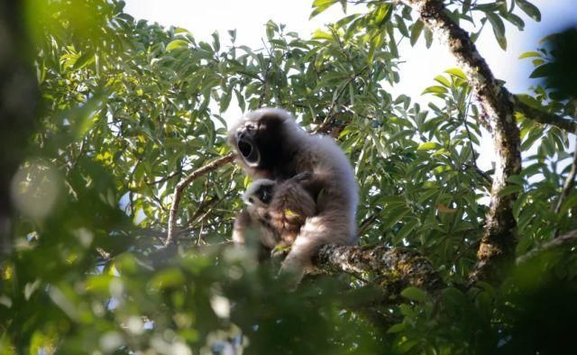 生长|云之南，一个生生不息、万物生长的地方
