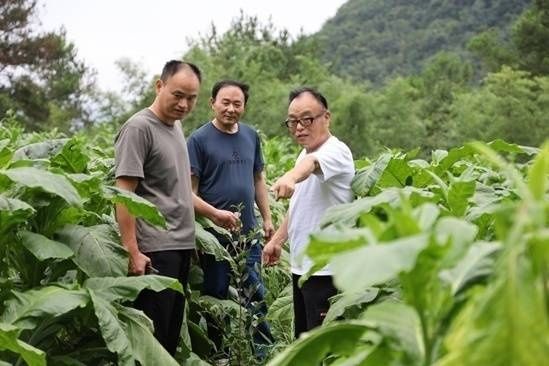  扶贫|李余海：从越战老兵到扶贫尖兵