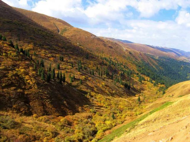  蹊跷|姜广富：蹊跷的命案｜故事