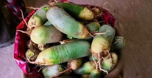 老妈|晒晒我老妈的囤菜,2个月不出门都饿不着,网友:想去你家搬菜