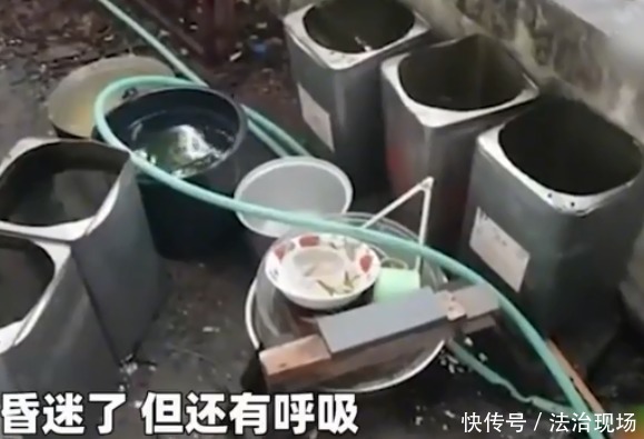 喝酒|夫妻中彩票喝酒庆祝，半夜妻子突然发病，丈夫抱尸睡觉浑然不知！