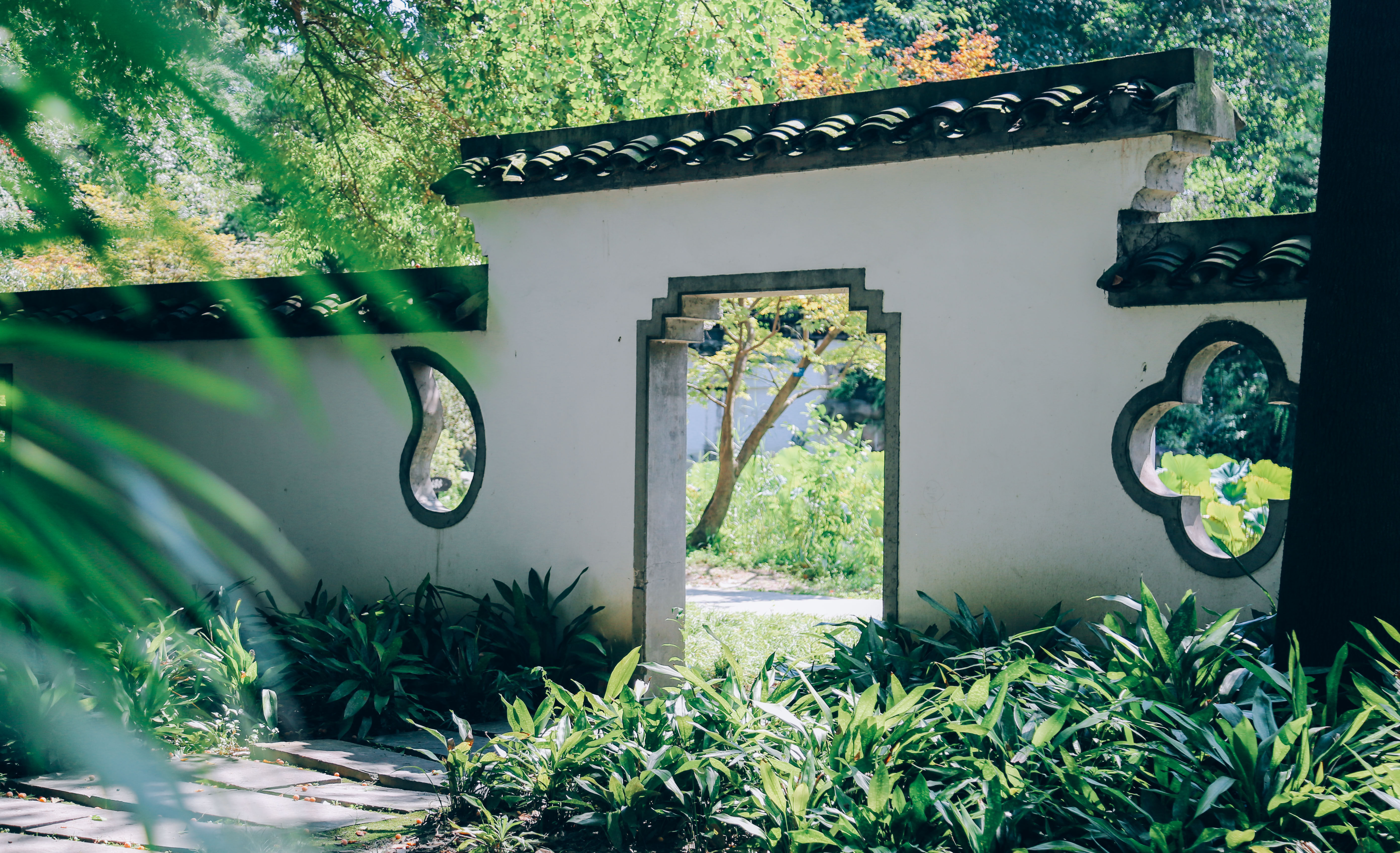 记录一下|成都,撑肚!成都的旅途中,少不了美食的“浓墨重彩”