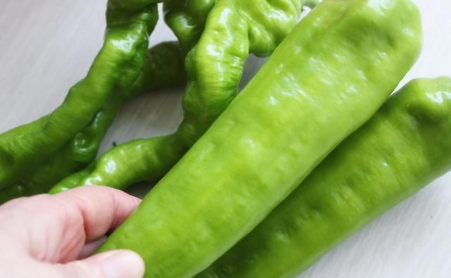  菜农|买青椒，如何区分辣的青椒和不辣的青椒？菜农教您一招，别乱买了