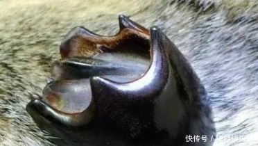 血渭一号|公安破获盗墓大案，盗墓为何经久不衰？