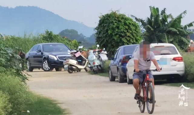  竟然|危险！很多隆都人竟然冒险在这个地方野游！