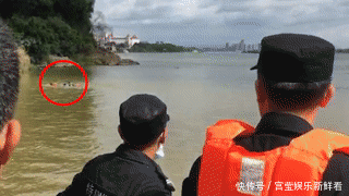  溺水|家长必看！别让溺水成为孩子们的“夺命杀手”！