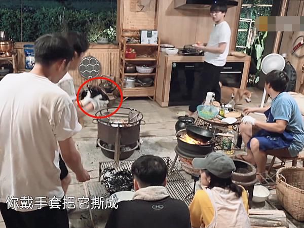  寒酸|黄磊做“叫花鸡”翻车，晚饭只能用2盘咸鸭蛋凑数，未免太寒酸了