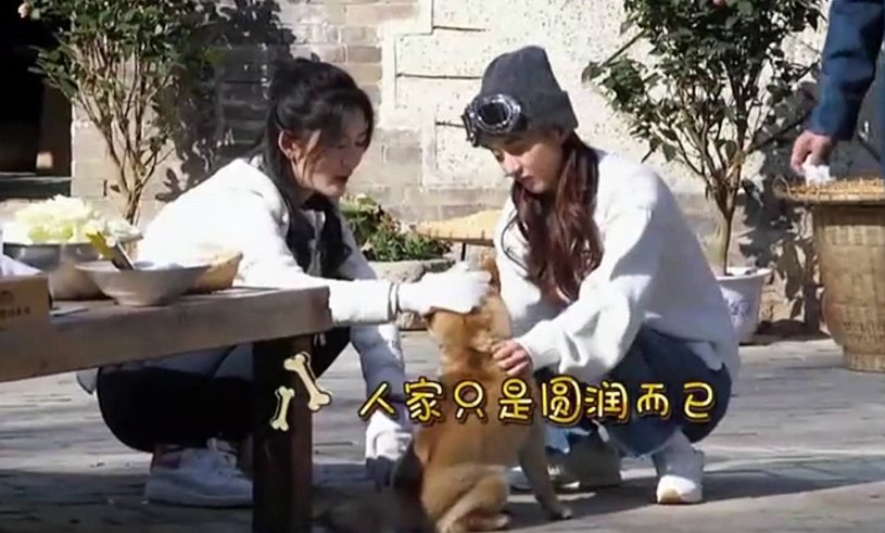  农村|《中餐厅》赵丽颖又翻车了？农村出身却被狗追着跑，网友称其太假