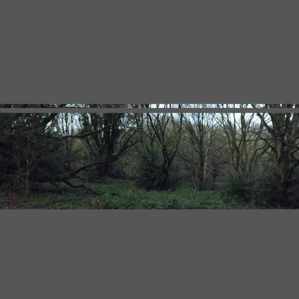  打开方式|专访｜海朋森：如果《成长小说》是出戏，打开方式就是戏外戏