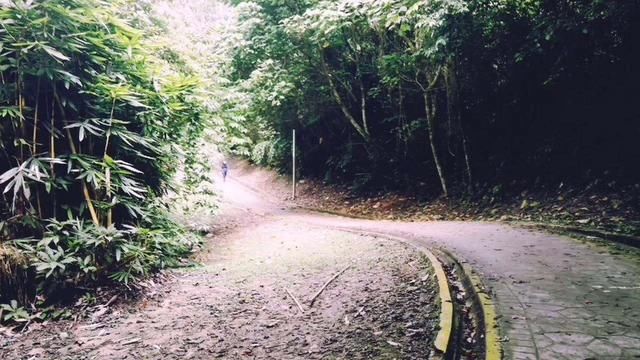  爬山|男子为骗取保险金，与妻子合谋撞死外曾祖母，上演＂一起爬山吗＂