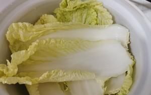  好吃|了不起的微波炉｜叉烧肉、蛋糕、蛋炒饭…叮！搞定！简单又好吃