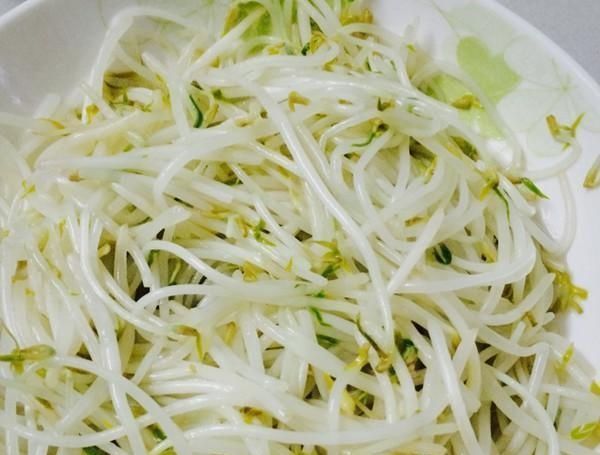 家常菜|简单家常菜清炒绿豆芽,羊排炖粉条,芹菜炒牛肚丝,粉丝娃娃菜