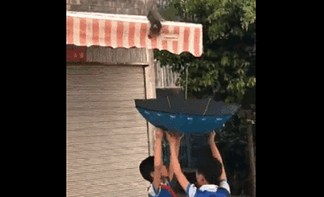 温柔|愿所有有教养的人，都被这个世界温柔以待