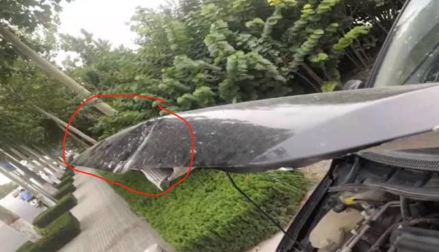  监控|车子好好停车位，第二天却莫名撞树上，看完监控：这是喝了多少？